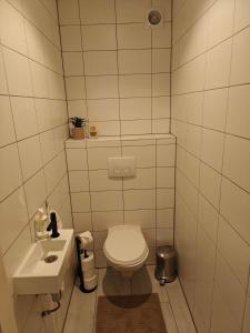 a small bathroom with a toilet and a sink at Studio 13 in Dronrijp +13 photos