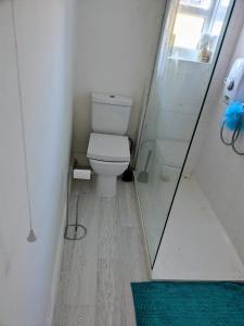 a bathroom with a toilet and a glass shower at Sandham Hall Cottage in Sandown