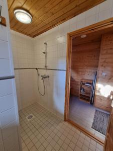 a bathroom with a shower with a glass door at Tikankolo in Puumala +37 photos