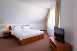 a hotel room with a bed and a flat screen tv at Penzión Lapáš u Hoffera in Nitra