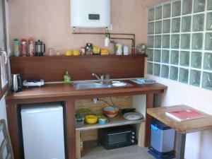 a small kitchen with a sink and a counter at Shayton Natura in Aix-les-Bains
