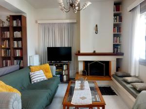a living room with a green couch and a fireplace at Family Booklovers space in Aigio