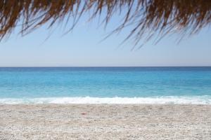 a beach with the ocean and a palm tree at Klodian Durmishi in Vlorë