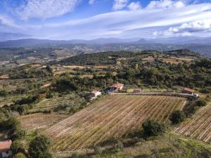 an aerial view of a farm on a hill at Mandrolisai Rooms in Samughèo