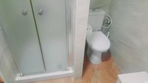 a bathroom with a toilet and a shower at הבית של גלגל in Arad