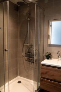 a bathroom with a shower and a sink at It Jachtfjild in Het Jachtveld