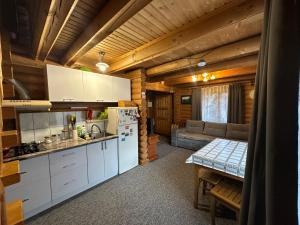 a kitchen and living room in a log cabin at Teremok in Tatariv