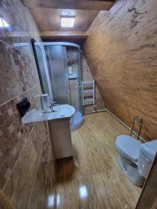 a bathroom with a toilet and a sink and a shower at Căsuțele EliMar in Chirleşti +54 photos