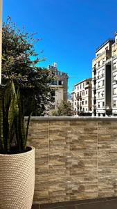 a plant in a pot on a wall with buildings at BB Hotel Pupi 93 in Palermo