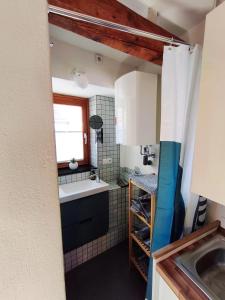 a small kitchen with a sink and a window at Globetrotter Apartments in Konstanz +28 photos