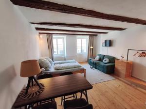 a living room with a couch and a table at Globetrotter Apartments in Konstanz