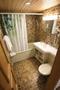 a bathroom with a toilet and a sink and a shower at Hotel guter Hirte in Huttwil