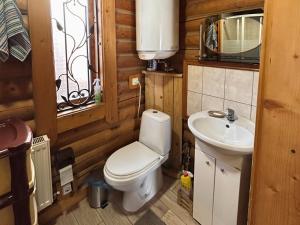 a bathroom with a toilet and a sink at Teremok in Tatariv +18 photos