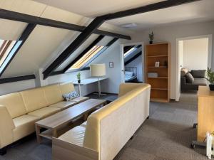 ein Wohnzimmer mit Sofa und Tisch in der Unterkunft MECHELinn in Mechelinki