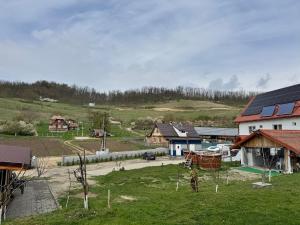 a view of a village with houses and a yard at La Romică in Mediaş
