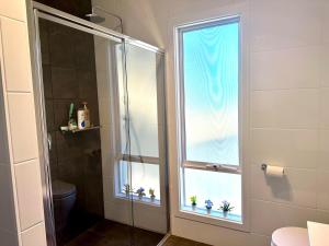 a bathroom with a shower with a window with plants in it at The Blue Nest, Clare in Clare +23 photos