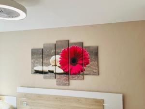 a red flower on a wall with avisor at L'auberge fleurie in Heilly +13 photos