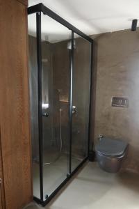 a bathroom with a glass shower with a toilet at Yalikavak Manzarali Villa in Bodrum City +5 photos
