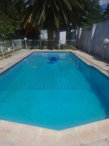 a large blue swimming pool with blue water at Rose's Garden Cottages in Lusaka