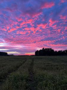 a field with a sunset in the sky at Atpūtas vieta Friči in Līguti +5 photos