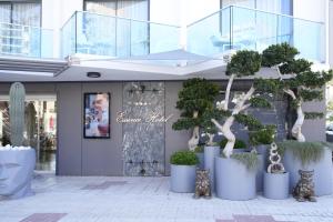 a store front with a bunch of potted trees at Essence Hotel Boutique in Torremolinos