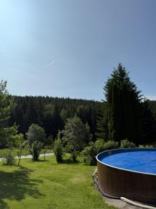 a large swimming pool in a yard with trees at Chata Monika in Frymburk