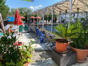 ein Pool mit Pflanzen und Menschen, die auf Stühlen am Wasser sitzen in der Unterkunft Hotel Ostrov in Călimăneşti