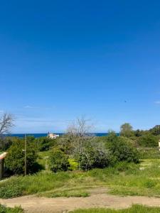 a field with the ocean in the background at GA apartments in Kato Pyrgos