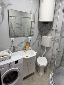 a bathroom with a washing machine and a toilet at Apartmani Vučinić in Cetinje +3 photos
