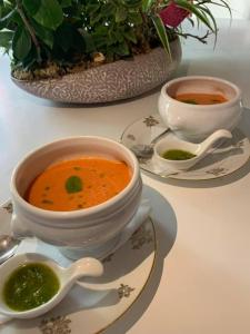 a table with two bowls of soup on a plate at Le Triol in Les Fournials