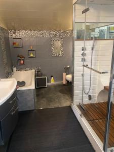 a bathroom with a shower and a tub and a sink at Pavillon Val in Romainville +9 photos