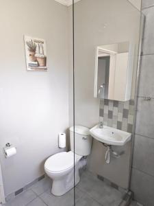 a bathroom with a toilet and a sink at Langpad Self Catering in Frankfort