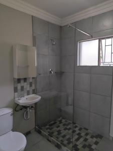 a bathroom with a shower and a toilet and a sink at Langpad Self Catering in Frankfort