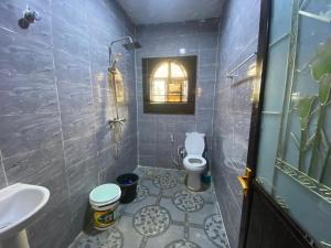 a small bathroom with a toilet and a sink at KFP Serene and Modern 2BR Flat , IBD in Ibadan +48 photos
