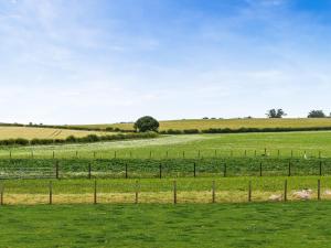 a field of green grass with a fence at The End Hoose in Duns