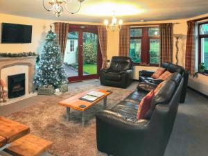 a living room with a christmas tree and a leather couch at Trebor Cottage in Annan