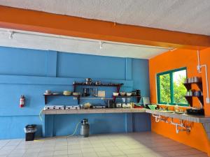 a kitchen with blue and orange walls and a counter at Caye Caulker Hostel in Belize City