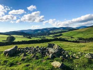 a green field with rocks in the grass at Otter Gulley in Eddleston +2 photos