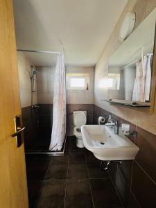 a small bathroom with a sink and a toilet at Bird House in Krimovice +17 photos