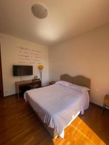 a bedroom with a bed and a tv on the wall at Tommy&Gio in Tradate +4 photos