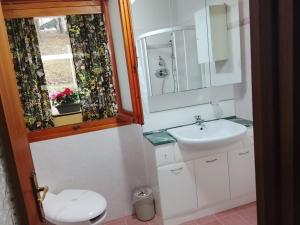 a bathroom with a toilet and a sink and a mirror at B&B Casa Orchidea in Baragazza +35 photos