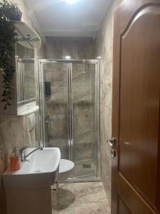 a bathroom with a shower and a sink and a toilet at Urban Boutique Apartments in Bitola +41 photos