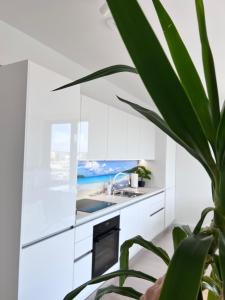 a kitchen with white cabinets and a potted plant at DeLux Apartment Koper - NEW in Koper