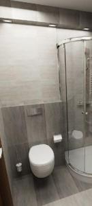 a bathroom with a toilet and a shower at Private apartment beach resort in Hurghada