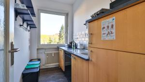 a kitchen with a large refrigerator and a window at Spacious Flat 2nd Floor near station in Karlsruhe