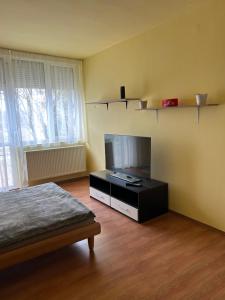 a room with a tv and a bed in a room at Szekcsői Kuckó in Kaposszekcső