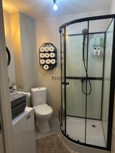 a bathroom with a toilet and a glass shower at Naomi apartaments in Saldus