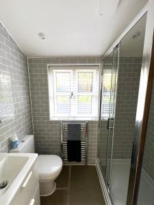 a bathroom with a toilet and a shower and a window at The Leat at The Old Mill in Tavistock
