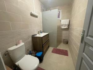 a bathroom with a toilet and a sink and a shower at NOMADIA MOUSSa in Pamandzi