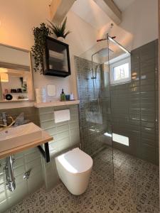 a bathroom with a shower and a toilet and a sink at ZadorHomes Etyek in Etyek +16 photos